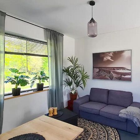 Studio Tussen De Bossen En De Bollenvelden Нордвейкерхаут Экстерьер фото